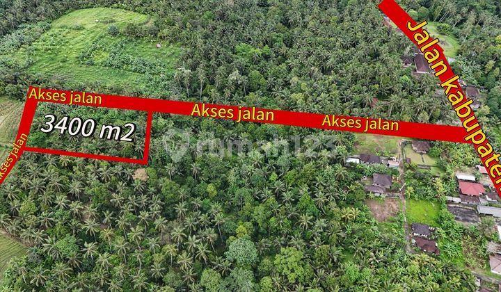 Jual Tanah Kebun Harga Muran View Sawah Di Tabanan Bali.