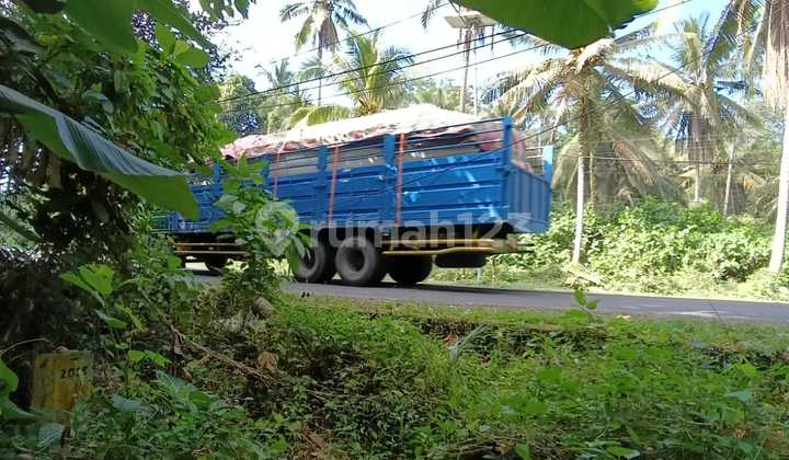 Land by Denpasar-Gilimanuk Road Near Tabanan Beach Bali Land by Denpasar-Gilimanuk Road Near Tabanan Beach Bali