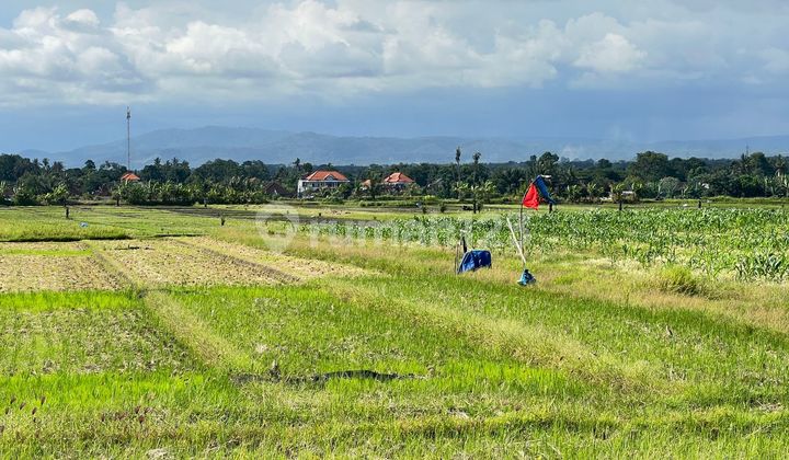 Land for Sale Near Tabanan Beach