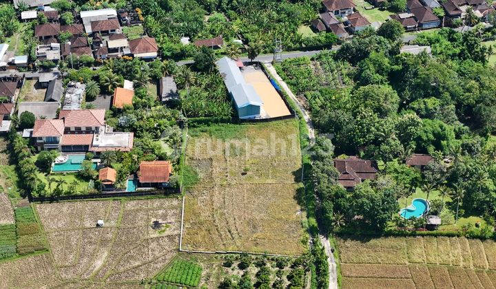 Land for Sale in Villa Area at Pasut Beach Kerambitan Tabanan Bali Land for Sale in Villa Area at Pasut Beach Kerambitan Tabanan Bali