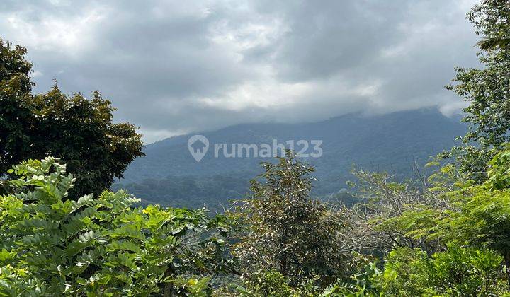 Tanah Buah View Gunung Dan Lembah Indah Di Tabanan Bali. 1