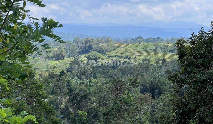 Cheap coffee plantation land with mountain views in Tabanan, Bali.  2