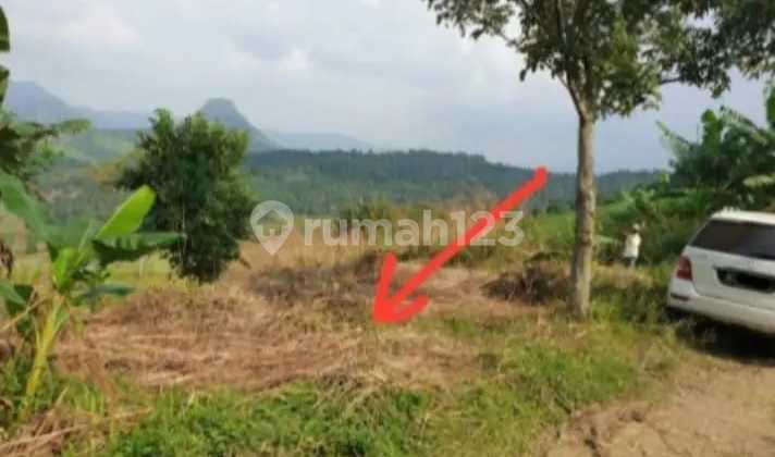 Dijual cepat tanah di Jonggol - Bogor Dijual cepat tanah di Jonggol - Bogor