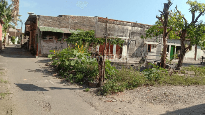 Tanah  Prawirotaman Yogyakarta, Cocok Homestay
