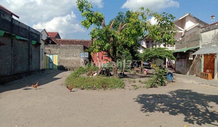Tanah  Prawirotaman Yogyakarta, Cocok Homestay