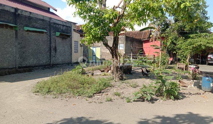 Tanah  Prawirotaman Yogyakarta, Cocok Homestay