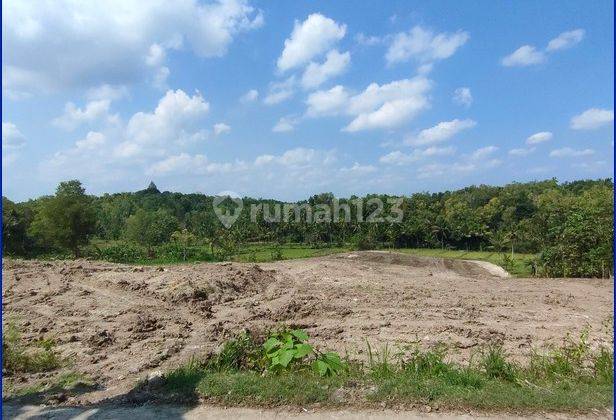 Jual Kapling Nanggulan Jogja Dekat Gerbang Tol Jogja bawen  5