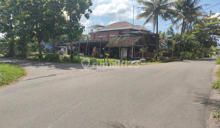 Dekat Brimob Sentolo Tanah Murah 1 Jt an m  4