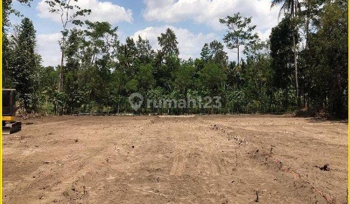 Dijual Tanah Sedayu, Lahan Rapih, Sertipikat SHM