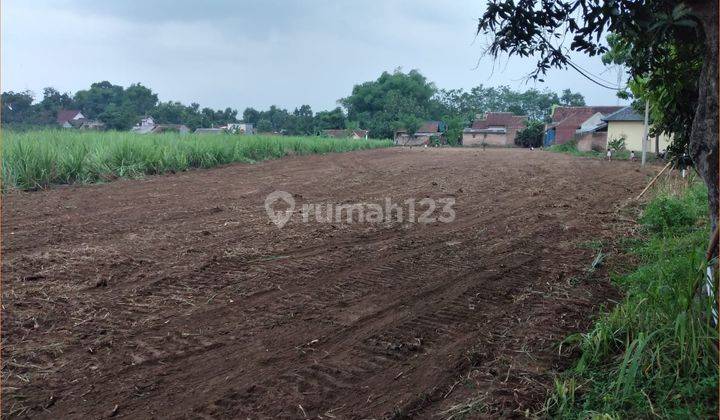 Dijual Tanah Sedayu, Lahan Rapih, Sertipikat SHM 5