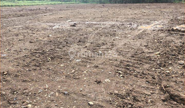 Dijual Tanah Sedayu, Lahan Rapih, Sertipikat SHM 6