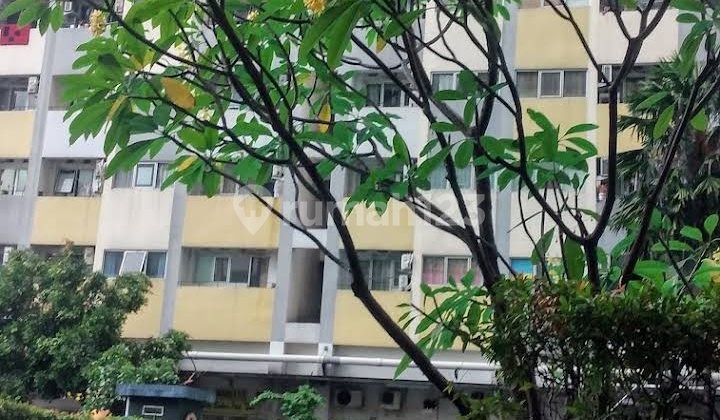 DIJUAL APARTEMEN SENTRA TIMUR RESIDENCE FULLY FURNISHED STRATEGIS HARGA SPESIAL