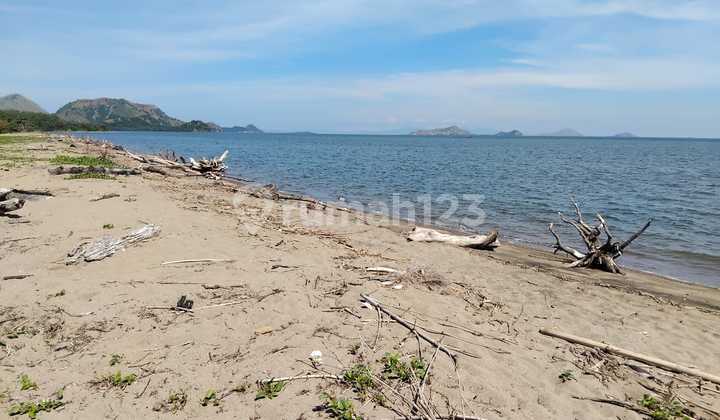 Tanah Pinggir Pantai 23.900 m2 di Pantai Gorontalo, Labuan Bajo Tanah Pinggir Pantai 23.900 m2 di Pantai Gorontalo, Labuan Bajo