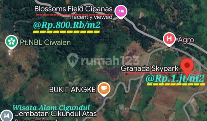 DIJUAL Tanah 12.385 m2 di antara Granada Sky Park dan Brossoms Field, Cipanas DIJUAL Tanah 12.385 m2 di antara Granada Sky Park dan Brossoms Field, Cipanas