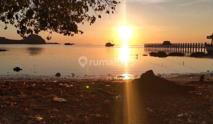 Tanah Luas 1.7 Ha di Pinggir Pantai Labuan Bajo  1