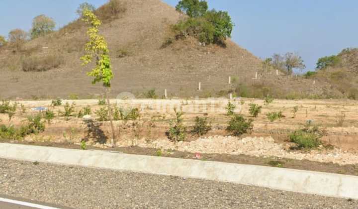Good Land 55,000 m2 in Golomori, Labuan Bajo Good Land 55,000 m2 in Golomori, Labuan Bajo