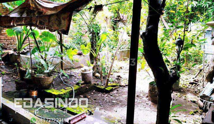 Rumah Tengah Kota Utara alun alun ponorogo 10