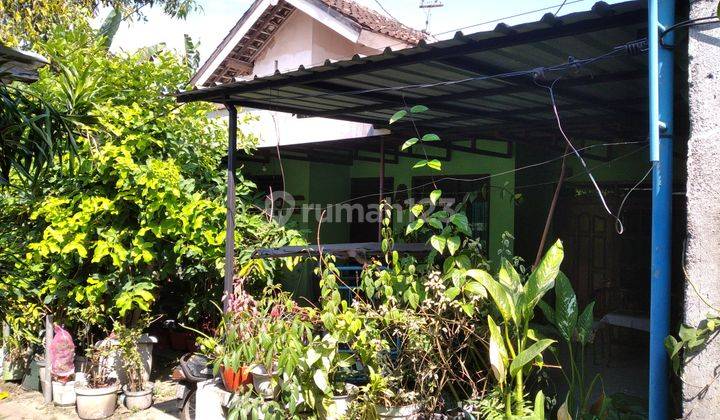 Rumah Tengah Kota Utara alun alun ponorogo 1