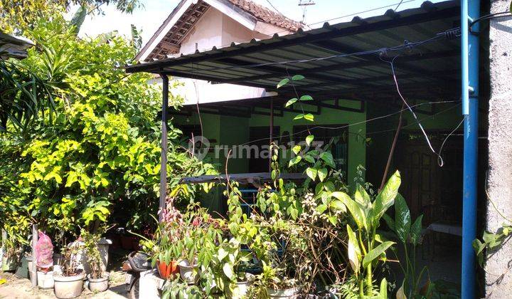 Rumah Spek Kost Tengah Kota Utara alun alun ponorogo 1