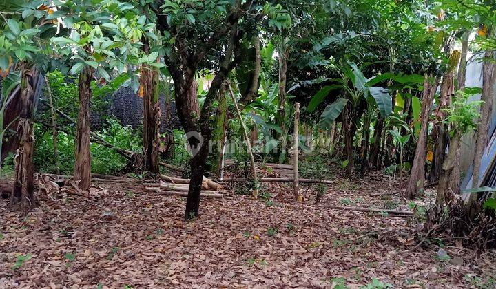 Tanah SHM Lokasi Strategis di Condongcatur, Depok, Sleman 1