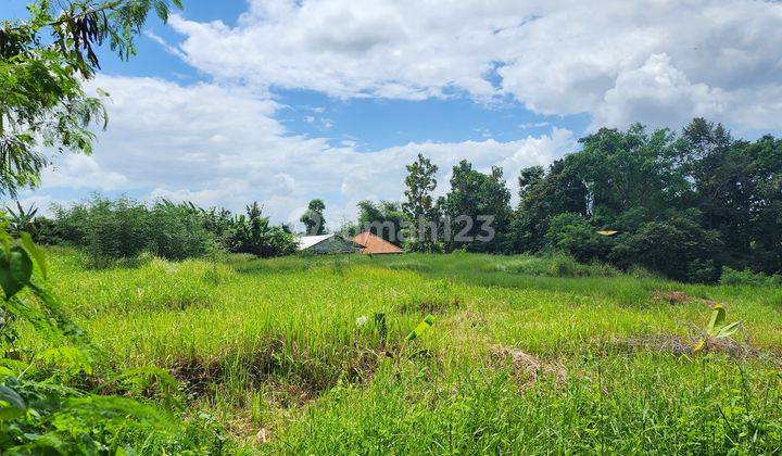 SHM 500 Square Meter Land for Quick Sale in Buwit 1