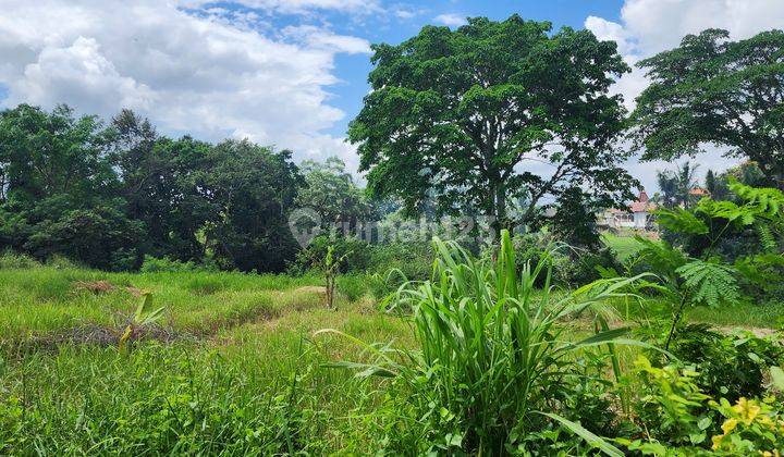 SHM 500 Square Meter Land for Quick Sale in Buwit 2