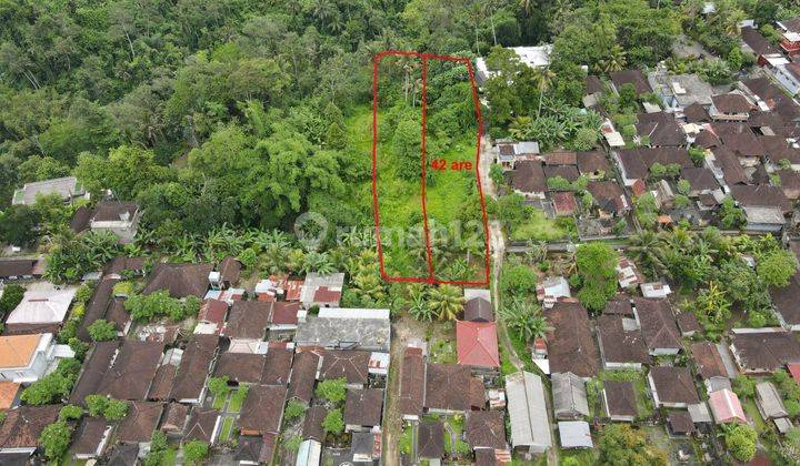  Land for sale in Ubud 4200m2 View of the Petanu River 2