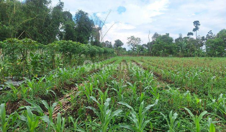 Jual tanah di Banyuresmi Garut stategis untuk Pertanian, bangun sekolah dll 1