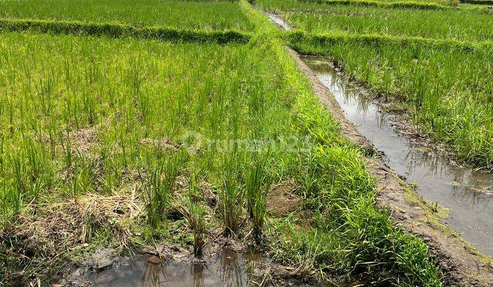 Tanah Di Jual Pinggir Jalan Di Tarogong Garut Sangat Potensial 2