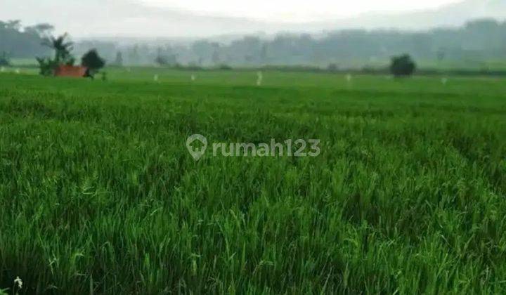 Jual SAWAH aktif Pinggir Jalan Di GARUT tarogong Kaler 2