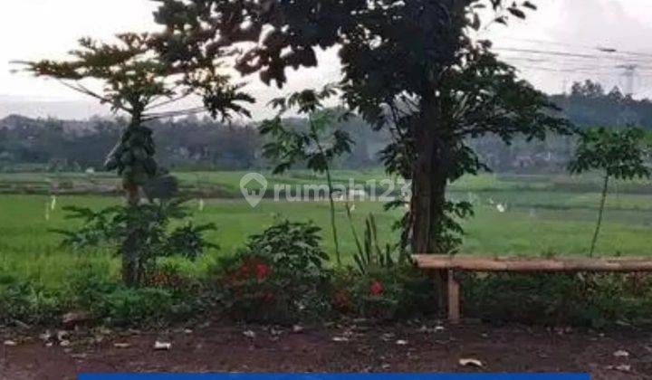 Jual SAWAH aktif Pinggir Jalan Di GARUT tarogong Kaler 1