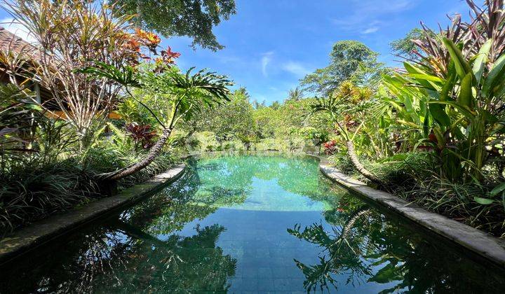 Scandinavian 2 Bedrooms Villa With Jungle View In Ubud Prime Area  1