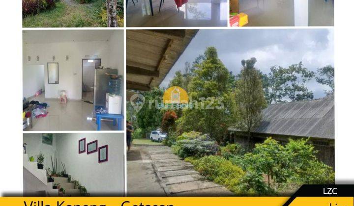 Rumah SHM di Kopeng luas 1212 Bagus hadap Barat nyaman 2