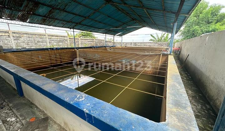 Ready-to-Produce Ungaran Factory, 3.5 Hectares, Excellent Condition 2