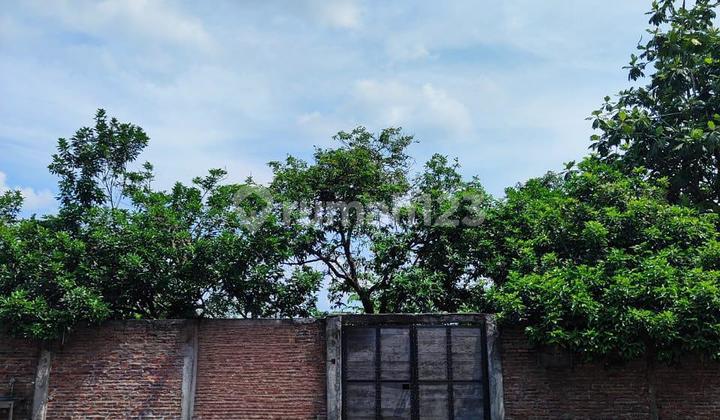 Dijual Tanah Strategis Di Mulawarman Tembalang  2