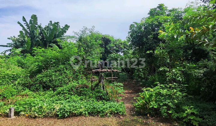 Tanah Genuk Cocok Untuk Invetasi Atau Bikin Kostan Deket Area Pabrik 1