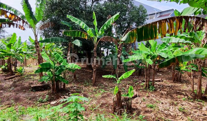 Tanah Di Bulusan Gondang Timur Tembalang Cocok Untuk Kostan 2