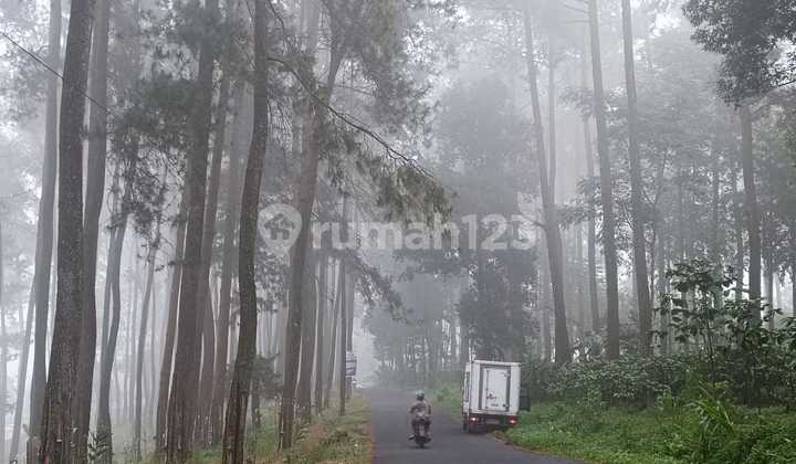 Land 5 Hectares with 300M Frontage Suitable for Business F32