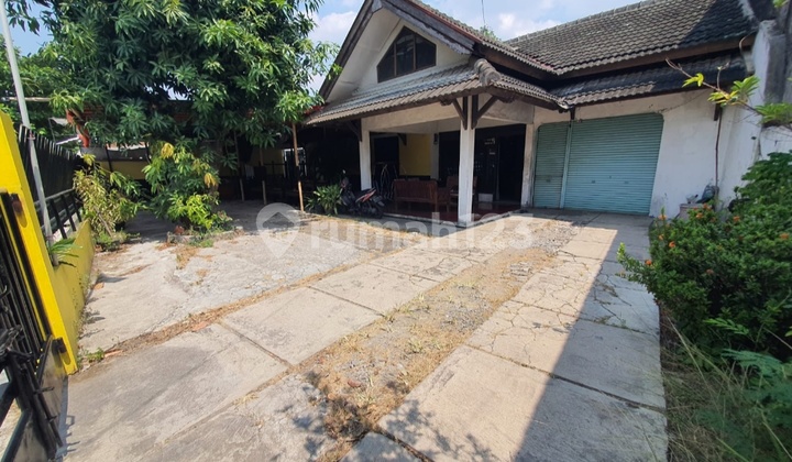 Rumah Dekat Jalan Raya Sambiroto Cocok Untuk Investasi 1