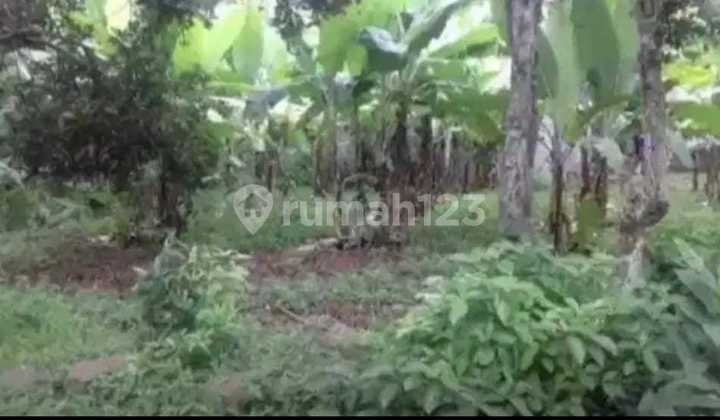 Tanah SHM Murah di Cileungsi Jonggol Dijual Tanah di Kota Jonggol