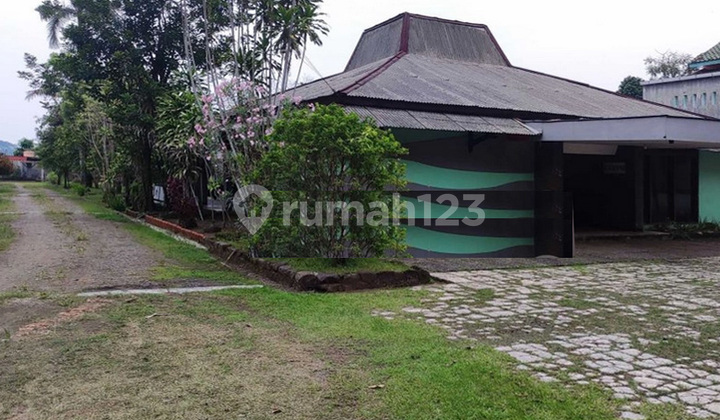 Hotel Strategis Vintage Luas Asri Jl Ry Cilacap Jawa Tengah Hotel Strategis Vintage Luas Asri Jl Ry Cilacap Jawa Tengah