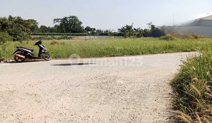 Tanah Kosong Cilincing Marunda Jakut Lt 8000 Shm.