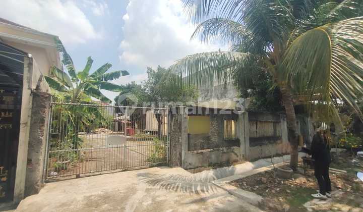 Tanah Murah Luas 604 Cem.pth Jak Pus Shm Utara Dkt Ke Jl.a Yani Tanah Murah Luas 604 Cem.pth Jak Pus Shm Utara Dkt Ke Jl.a Yani