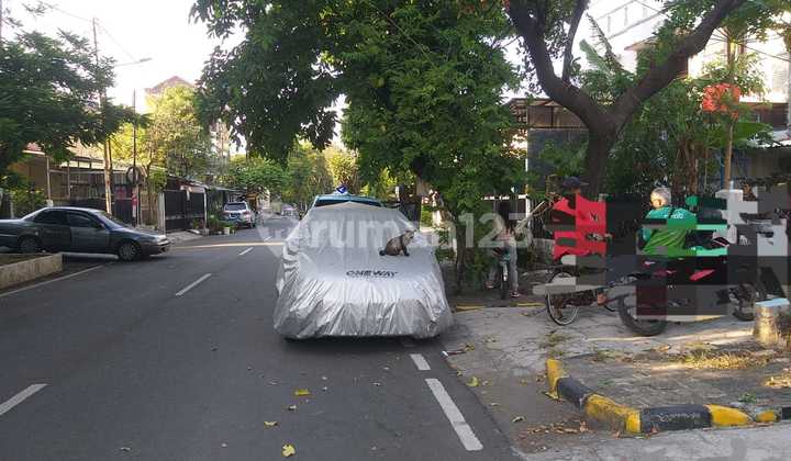 Rumah Tua Murah Luas 338 Percetakan.negara Cocok Usaha  2