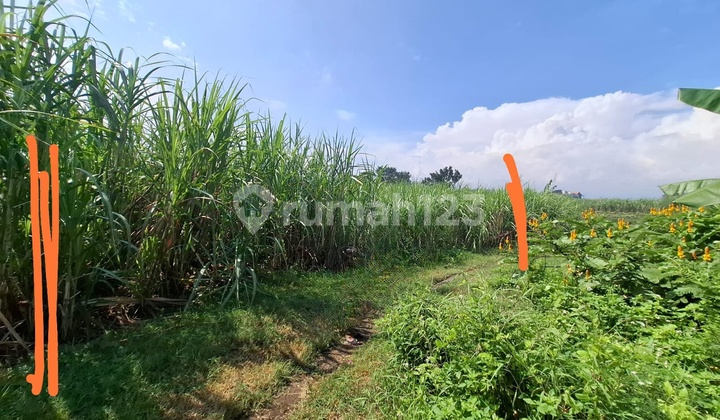 Tanah di Jatirejo Jual, Luas Tanah 4660M², Cocok untuk Investasi Tanah di Jatirejo Jual, Luas Tanah 4660M², Cocok untuk Investasi