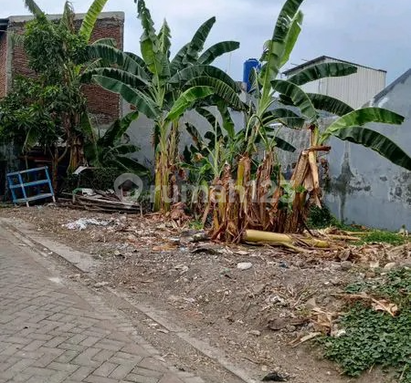 TANAH DIJUAL MURAH LOKASI WONOREJO SELATAN SURABAYA DEKAT OERR TANAH DIJUAL MURAH LOKASI WONOREJO SELATAN SURABAYA DEKAT OERR