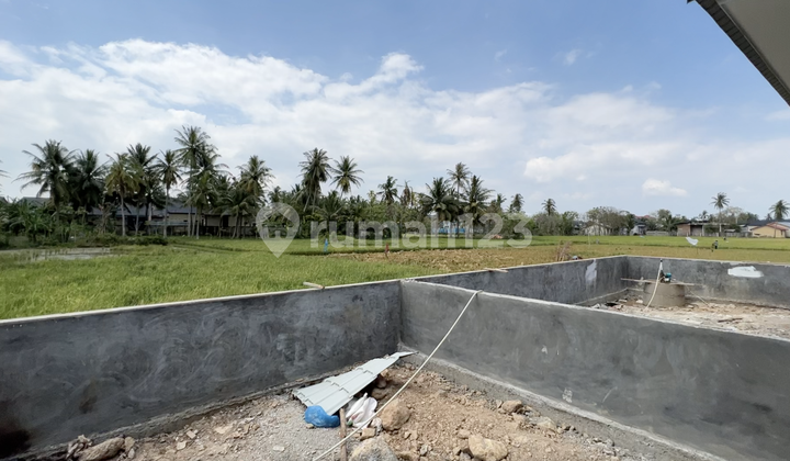 Dekat Kampus Idaman Mahasiswa Dan Dosen Luas Tanah Besar 24