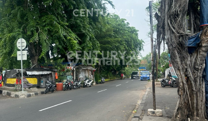 Jual Murah Tanah Strategis dan Ngantong Pinggir Jalan Kayu Putih Jual Murah Tanah Strategis dan Ngantong Pinggir Jalan Kayu Putih