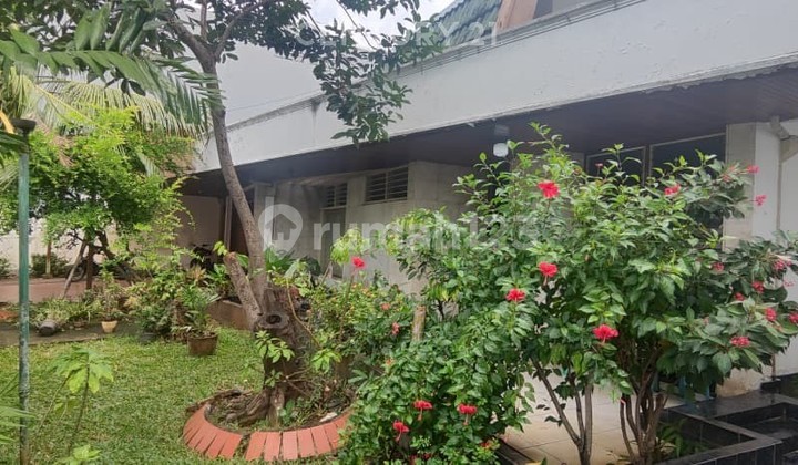 Dijual Tanah Cempaka Putih Super Murah Jakarta Pusat