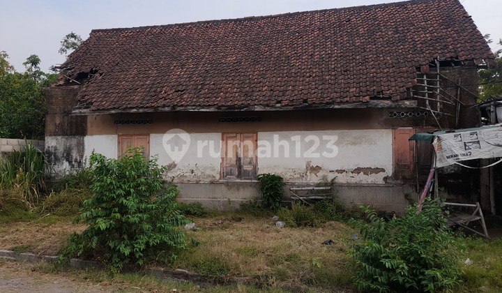 Strategic Land Next to Kwaron Road, Diwek Jombang